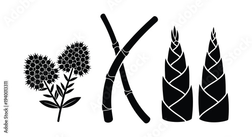 A striking black and white botanical illustration showcasing diverse plant forms in a minimalist silhouette high quality professional detailed modern