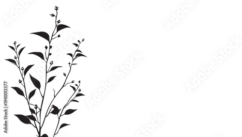 Silhouette of a delicate tea plant with leaves and buds on a white background, perfect for graphic design.