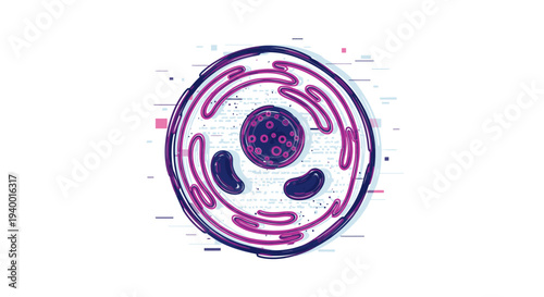 Modern graphic illustration of an animal cell with nucleus, mitochondria, and endoplasmic reticulum, representing biology and microscopic life.