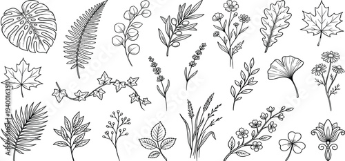 An assortment of diverse botanical elements, including leaves, flowers, and branches, illustrated in a minimalist style, showcasing various plant species.