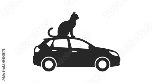 A sleek black cat confidently sits atop a dark colored hatchback car creating a striking silhouette high quality professional