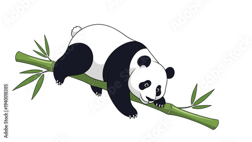 Giant panda climbing on a bamboo branch with green leaves isolated on a white background cartoon illustration.