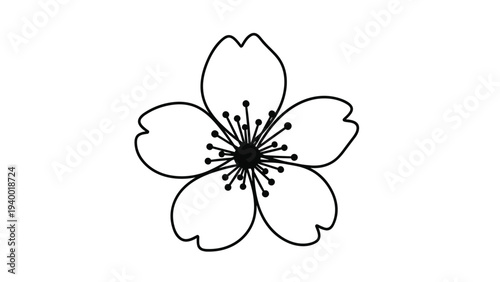 Simple black outline of a cherry blossom flower with petals and stamen on a white background for coloring.