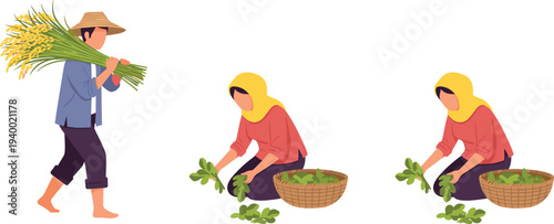 Asian farmers harvesting rice and sorting green leaves in wicker baskets flat vector illustration isolated on white background.