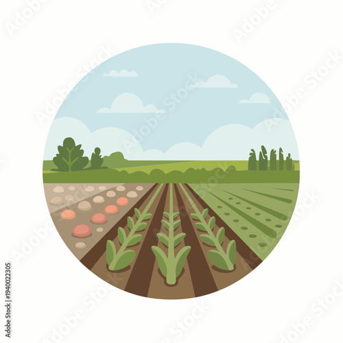 cartoon illustration of farm field with crops and soil