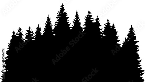Dense Pine Forest Silhouette Landscape
