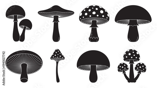 Mushrooms silhouetted set with diverse shapes including spotted and plain caps and gill details featuring mushroom, fungi, fungus with nature and
