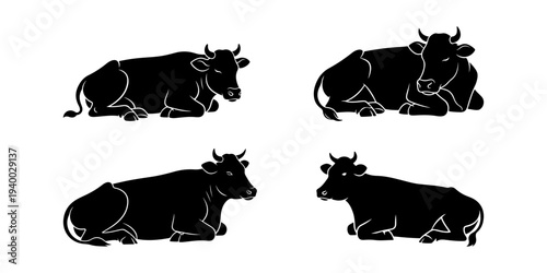 Lying Cow Silhouette Illustration Set for Farm and Meat Branding