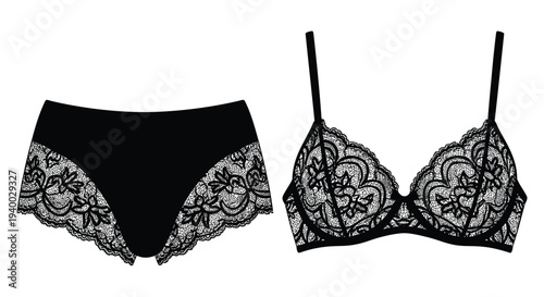 An elegant black lace lingerie set including a bra and matching briefs shown in stark silhouette high quality