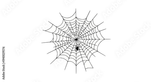 Sleek Stainless Steel Whisk, Isolated on White - A Chef's Essential Tool for Mixing and Baking