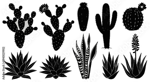 Close-up of a silver metal whisk with thin wires, highlighting its clean design and reflective surface on a white background.