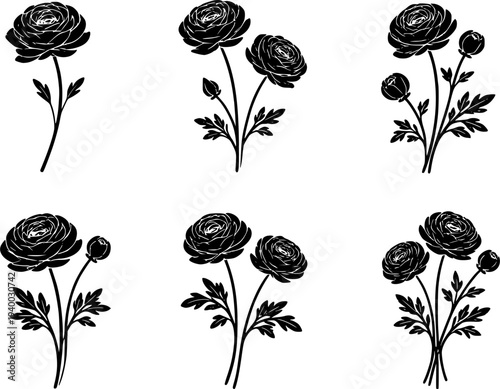 16 Premium Black Ranunculus Flowers Icons - Wedding & Botanical Graphic Elements. Vector Illustration. Design Element. Clip art. Suitable for artwork design. Editable for any design.
