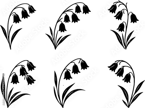 16 Premium Black Bluebell Flowers Icons - Wedding & Botanical Graphic Elements. Vector Illustration. Design Element. Clip art. Suitable for artwork design. Editable for any design.