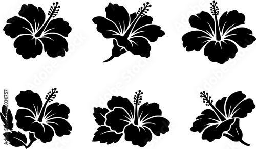 16 Premium Black Hibiscus Flowers Icons - Wedding & Botanical Graphic Elements. Vector Illustration. Design Element. Clip art. Suitable for artwork design. Editable for any design.