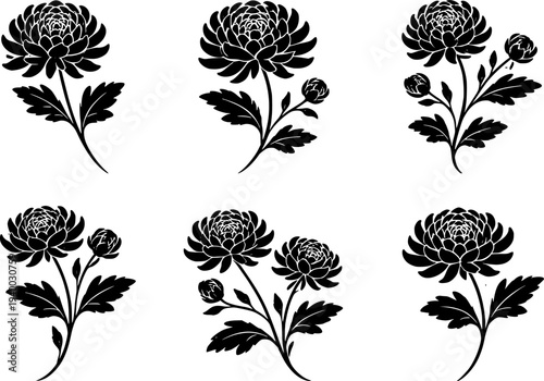 16 Premium Black Chrysanthemum Flowers Icons - Wedding & Botanical Graphic Elements. Vector Illustration. Design Element. Clip art. Suitable for artwork design. Editable for any design.