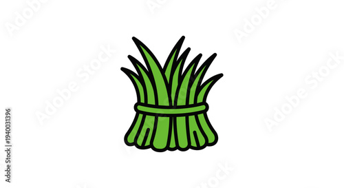 Bunch of green grass tied together.