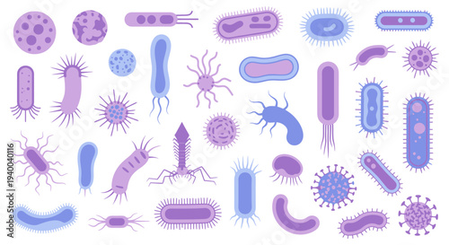 Various types of bacteria and microorganisms illustrated in purple and blue hues.