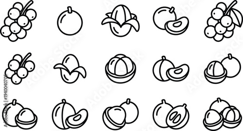 Collection of diverse fresh tropical and common fruit line art icons isolated on a clean white background