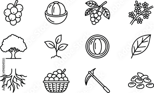 Set of simple line icons representing various fruits and gardening elements isolated on transparent background for design use
