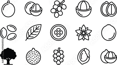 Collection of various fruits seeds leaves flower tree and sliced fruits isolated on transparent background