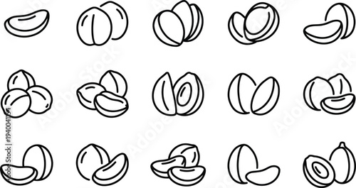 Collection of stylized line art icons representing various nuts and seeds isolated on a transparent background