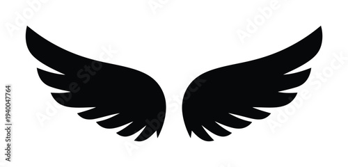 Vector of symmetrical black wings with feathers spread wide