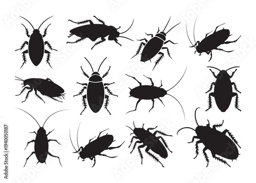 Cockroach vector, Cockroach clipart, Cockroach silhouette