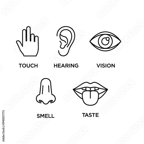 Black and white line drawing of human senses icons with text labels for touch, hearing, vision, smell, and taste