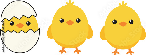 Set of cute yellow baby chick characters with one hatching from an egg shell isolated on white background vector.