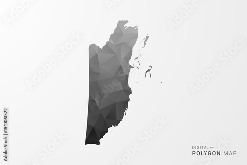 Belize Map - Black Polygon Style Vector Illustration with Low Poly Geometric Design, Clean Silhouette Isolated on White Background.