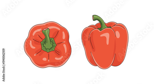 Fresh red bell peppers shown from both the top and side views to highlight their vibrant color and organic shape in an illustration.