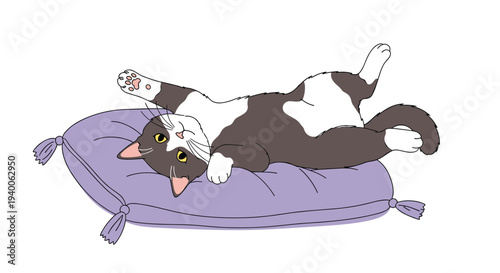 Domestic tuxedo cat relaxes on its back on a comfortable purple pillow with decorative tassels in a charming illustration.