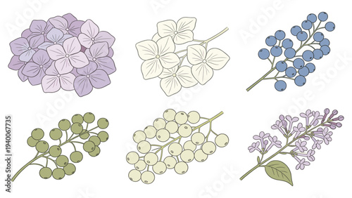 Curated Six-Flower Illustration Arrangement in Two Rows of Three, Featuring Watercolor Styles, Purple, White, Blue, Yellow, Green Tones, and Line Art