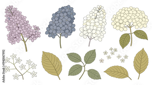 Digital Illustration of Botanical Flowers and Leaves in Colorful Clusters, Arranged in a Serene Composition with Diverse Green Shades