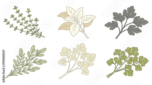 Botanical Leafy Species Set with Diverse Stylized Arrangements and Colorful Textures Showcasing Six Unique Flora Elements