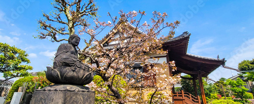 Bouddha in a Hongyo-ji temple in Tokyo,  Japan
