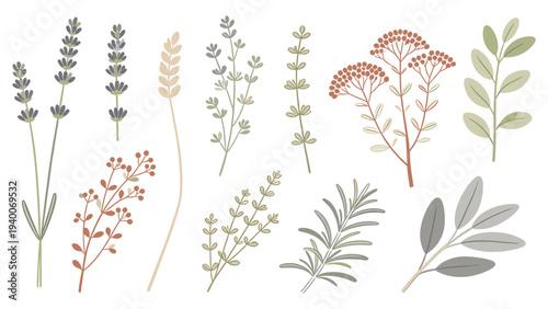 12 Unique Plant Species in Hand-Drawn Style with Bold Lines, Simple Composition