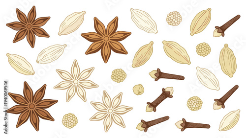 Arranged Spices Illustration with Star Anise, Cinnamon Sticks, Cardamom Pods, and Botanical Elements on a Clean White Surface