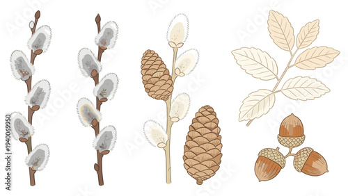 Stylized Botanical Illustration _0487243418 with Three Sections of White Buds, Flowers, Pinecone, and Leaves