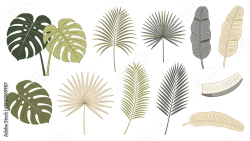 Tropical Leaves Botanical Set Arranged Grid Pattern Diverse Foliage Nature Study Collection