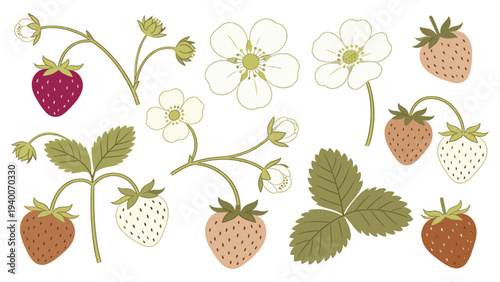 Buds, Green, Red Fruits with Textures and Playful Energy in Diverse Arrangement