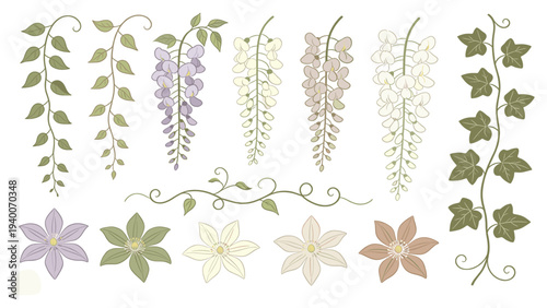 Digital Illustration of Botanical Vines and Flowers in Colorful Rows with Leaves and Petals for Artistic Design