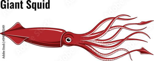 Red giant squid vector illustration with long tentacles and large eyes isolated on white background for marine life ocean biology and deep sea animal themed design projects
