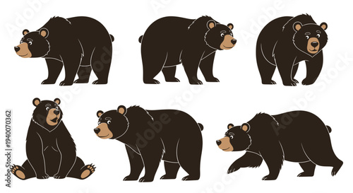 Collection of Six Brown Bears Posing in Different Styles