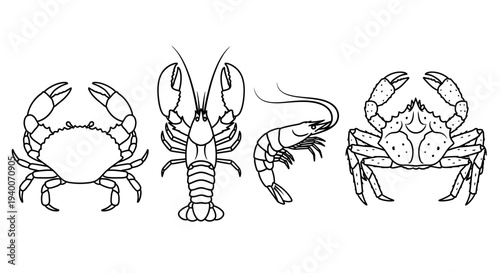 Collection of Outline Vector Illustrations Featuring Crabs, Lobster, and Shrimp - Delicious Seafood Line Art Set