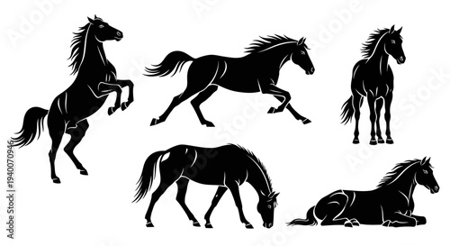 Collection of Black Silhouettes of Horses in Various Poses and Actions