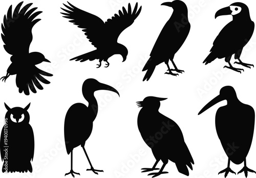 Set of bird silhouettes including crow, owl, toucan, heron and flying birds in different poses, wildlife vector collection isolated on white background