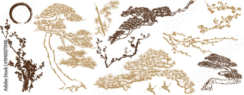 Set of branch of bonsai tree with Chinese painting. Nautre elments with Ink wash style
