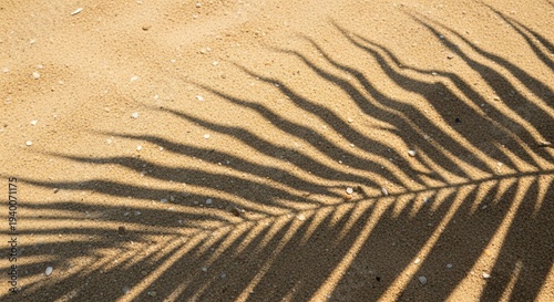 Close-up of a palm leaf with detailed fronds and natural texture.