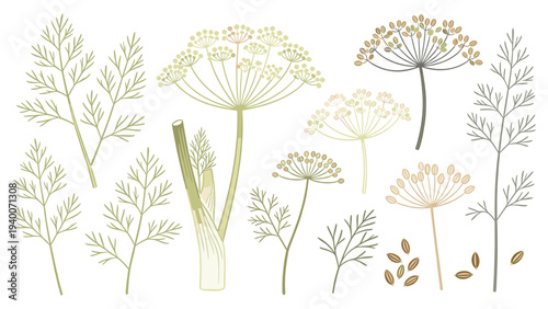 Set of 11 Botanical Illustrations Displaying Varied Plant Species with Unique Color Schemes and Structural Details in Horizontal Arrangement